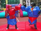 sumos-boxing-5_0.jpg